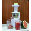 2013 nuevo plástico juicer lento multifunción AJE318